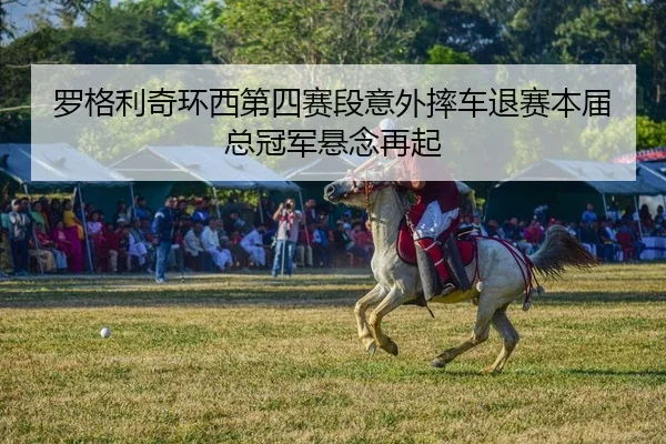 luo-ge-li-qi-huan-xi-di-si-sai-duan-yi-wai-shuai-che-tui-sai-ben-jie-zong-guan-jun-xuan-nian-zai-qi-2-364.jpg
